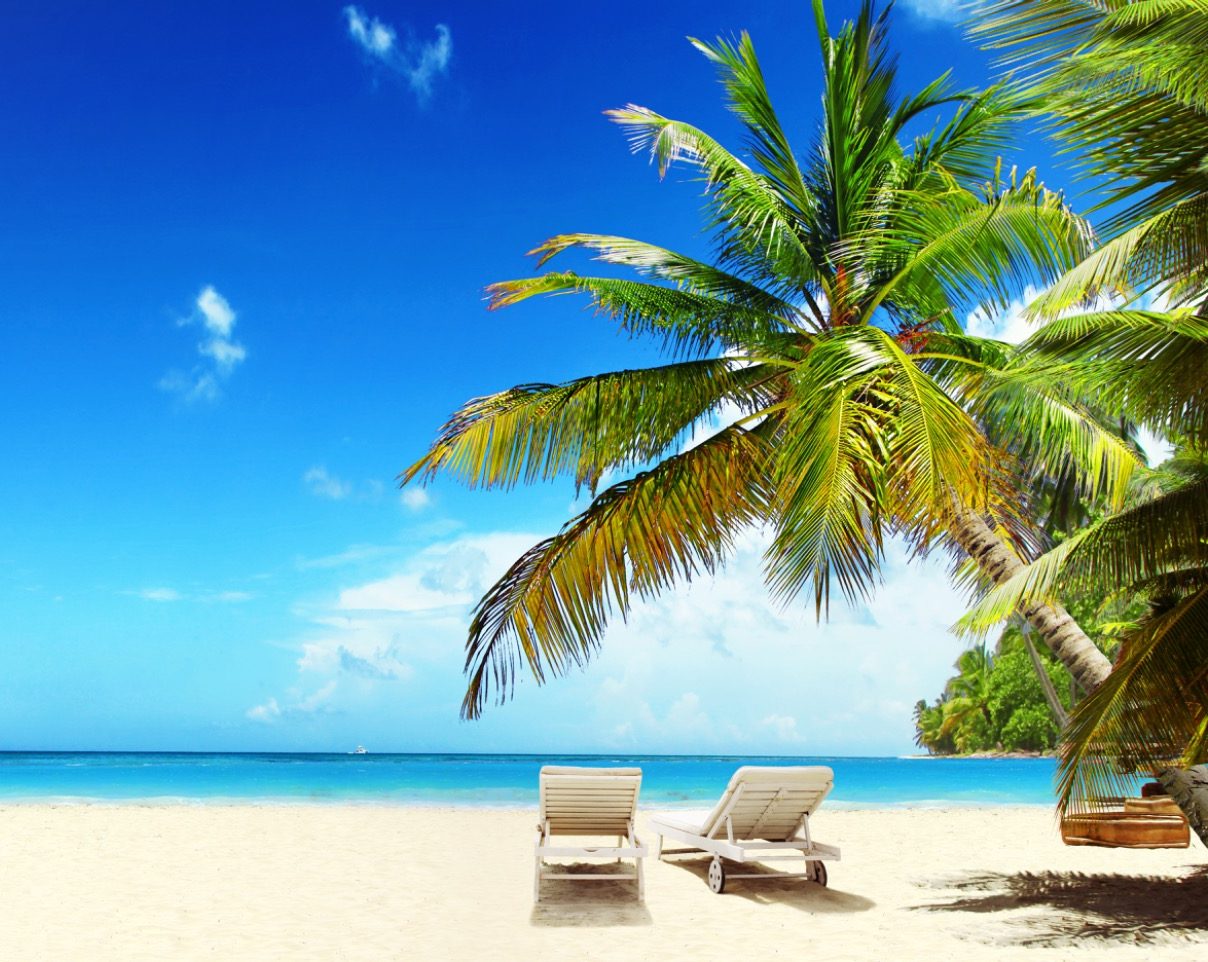 Strand mit Palmen und 2 Liegen